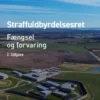 Straffuldbyrdelsesret