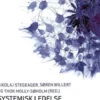 Systemisk Ledelse