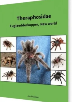 Theraphosidae