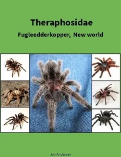 Theraphosidae