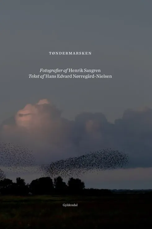 Tøndermarsken