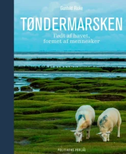 Tøndermarsken