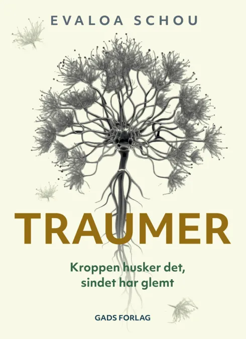 Traumer
