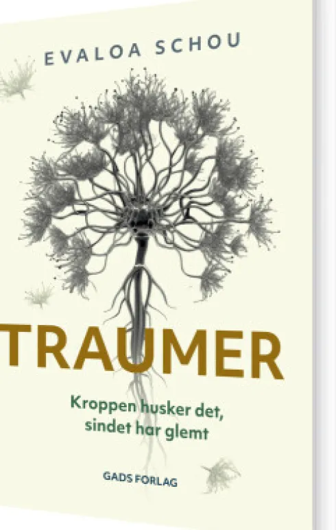 Traumer