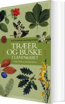 Træer Og Buske I Landskabet