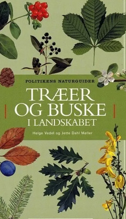 Træer Og Buske I Landskabet