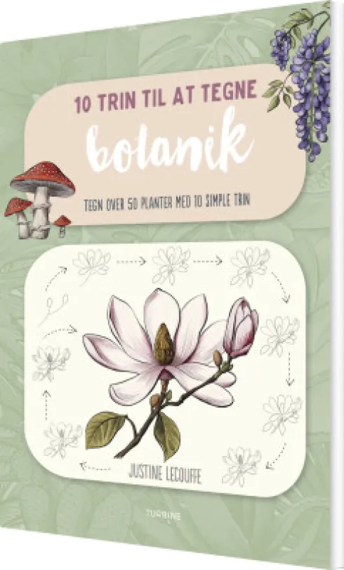 10 Trin Til At Tegne Botanik
