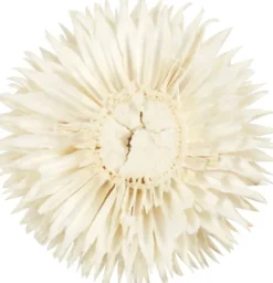Tørrede Blomsterhoveder - Ø 3-5 CM - 6 Stk