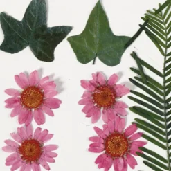 Tørrede Blomster Og Blade - Lyserød