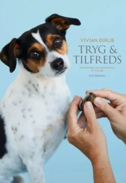 Tryg Og Tilfreds
