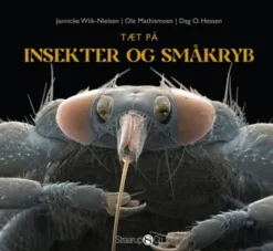 Tæt På Insekter Og Småkryb