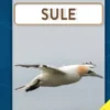 Tæt På Serien - Sule