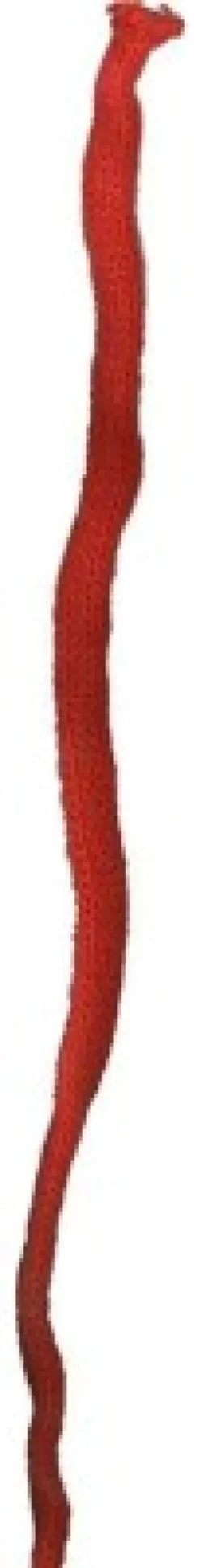 Tubestrik 10M 1Cm Rød