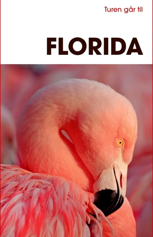 Turen Går Til Florida