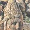 Turkey Central: Including Cappadocia