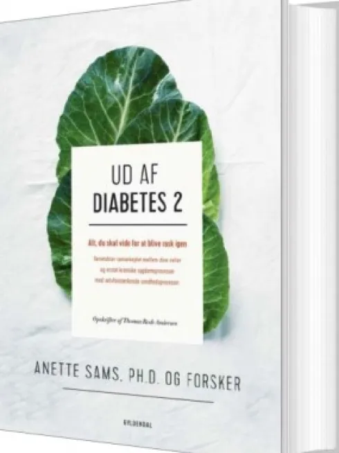 Ud Af Diabetes 2