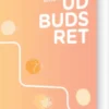 Udbudsret
