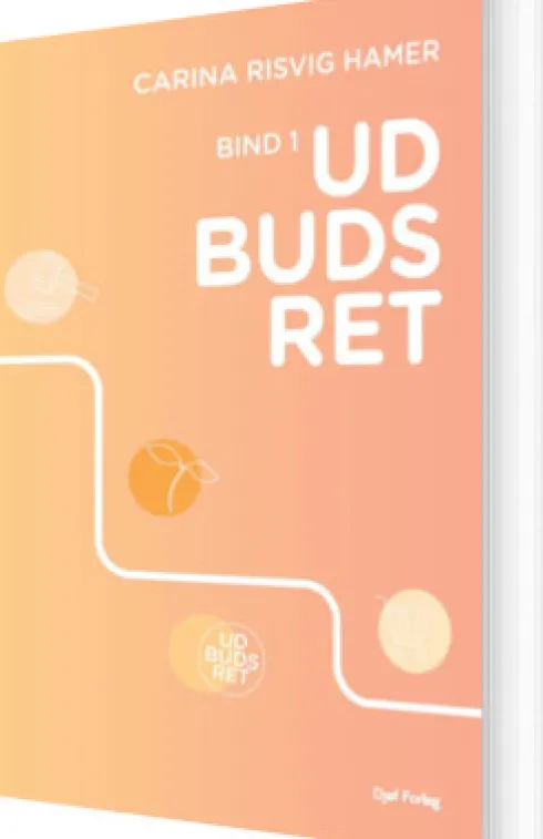 Udbudsret