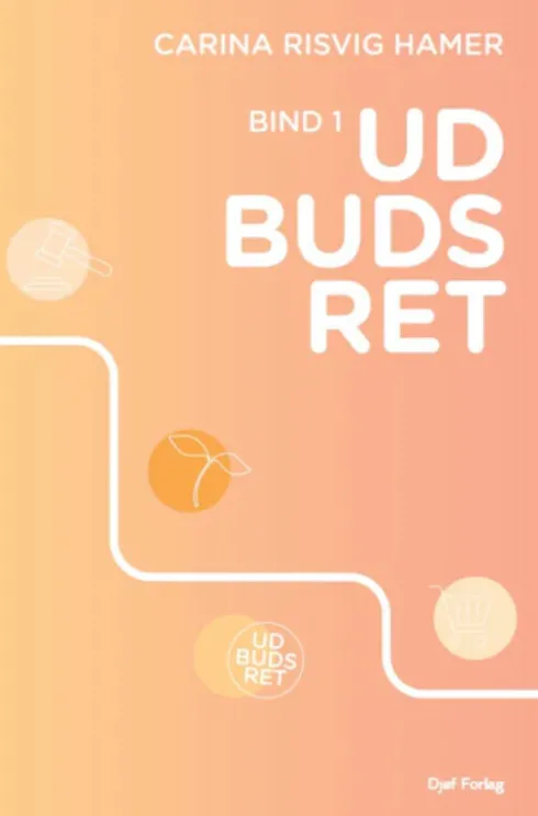 Udbudsret