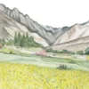 Useful Plants Of Wakhan And Pamir