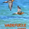 Vadefugleguiden