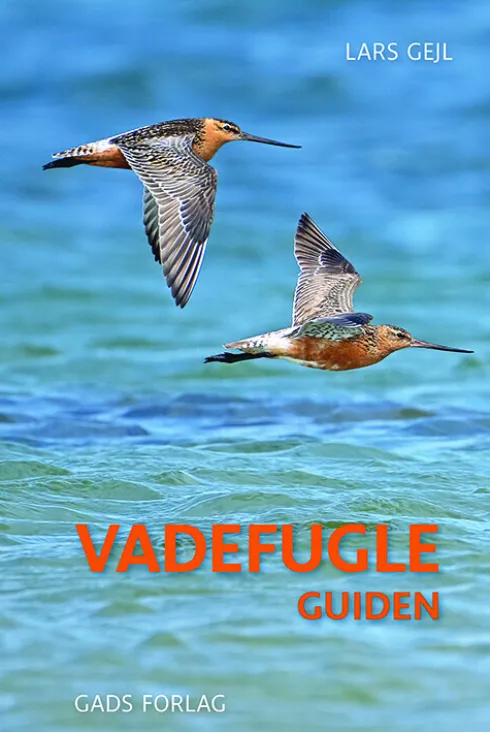 Vadefugleguiden