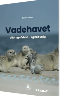 Vadehavet