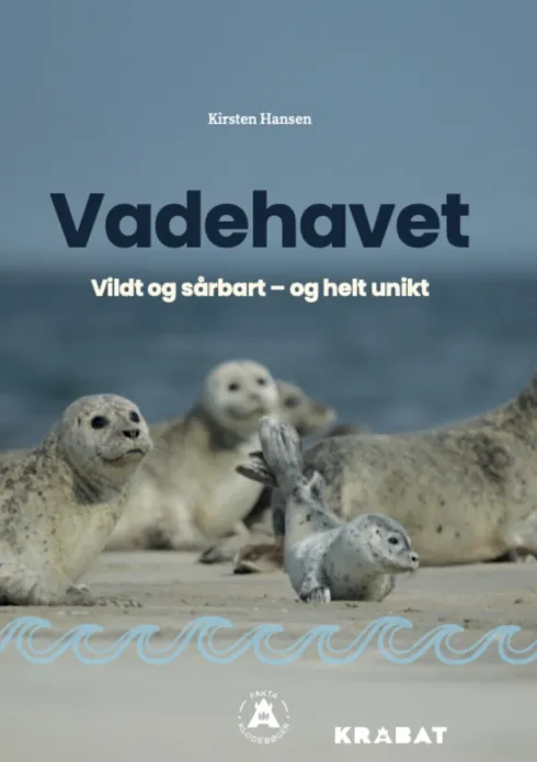 Vadehavet
