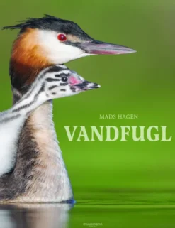 Vandfugl