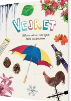 Vejret