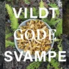 Vildt Gode Svampe