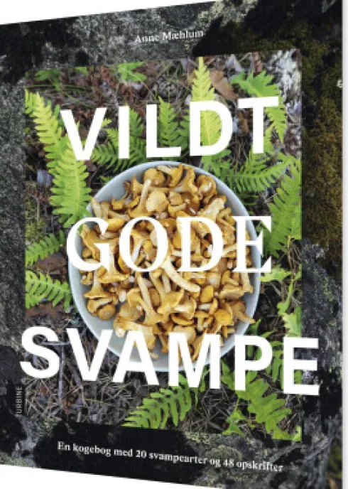 Vildt Gode Svampe