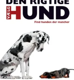Vælg Den Rigtige Hund