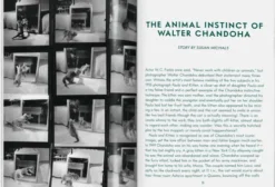 Walter Chandoha. Cats. Photographs 1942-2018