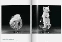 Walter Chandoha. Cats. Photographs 1942-2018