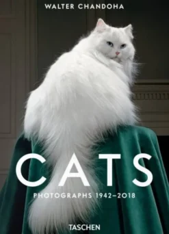 Walter Chandoha. Cats. Photographs 1942-2018