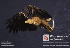 Wild Wonders Of Europe