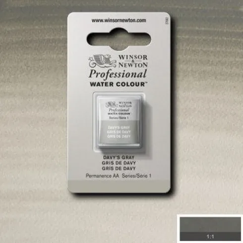Winsor & Newton - Akvarelfarve 1/2 Pan - Davy's Grey