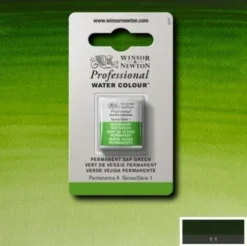 Winsor & Newton - Akvarelfarve 1/2 Pan - Permanent Sap Green