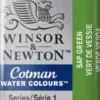 Winsor & Newton - Cotman Watercolour - 1/2 Pan - Sap Grøn