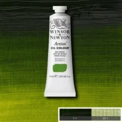 Winsor & Newton - Oliemaling - Artists - Sap Green 37 ML